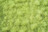 ミニネイチャー[713-21]茂みのある牧草地 萌える春