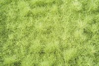ミニネイチャー[713-21]茂みのある牧草地 萌える春