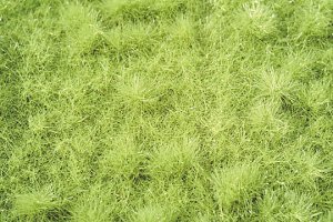 画像1: ミニネイチャー[713-21]茂みのある牧草地 萌える春 (1)