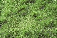 ミニネイチャー[713-22]茂みのある牧草地 夏の盛り