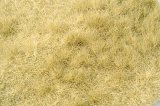 ミニネイチャー[713-24]茂みのある牧草地 冬が来る