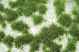 ミニネイチャー[717-22]小さな草むら‐夏の盛り