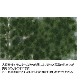画像1: ミニネイチャー[717-23]小さな草むら‐秋の訪れ