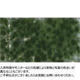 ミニネイチャー[717-23m]マイクロパック　小さな草むら‐秋の訪れ