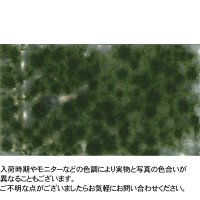 ミニネイチャー[717-23m]マイクロパック　小さな草むら‐秋の訪れ