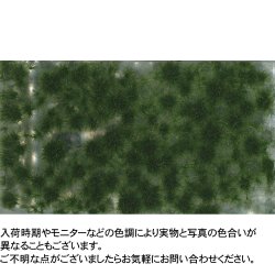 画像1: ミニネイチャー[717-23m]マイクロパック　小さな草むら‐秋の訪れ