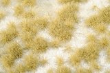 ミニネイチャー[717-24]小さな草むら‐冬が来る