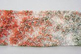 ミニネイチャー[726-22]野草の花園‐初夏