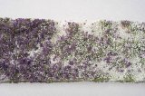 ミニネイチャー[726-23]野草の花園‐夏の盛り