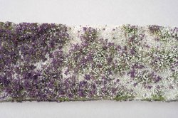 画像1: ミニネイチャー[726-23]野草の花園‐夏の盛り