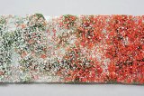 ミニネイチャー[726-32]野草の花園(大)-初夏