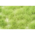 ミニネイチャー[727-21m]マイクロパック　丈のある草むら‐萌える春