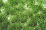 ミニネイチャー[727-22]丈のある草むら‐夏の盛り