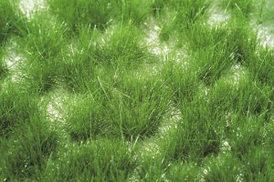 画像1: ミニネイチャー[727-22]丈のある草むら‐夏の盛り (1)