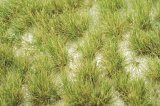ミニネイチャー[727-23]丈のある草むら‐秋の訪れ
