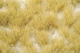 ミニネイチャー[727-24]丈のある草むら‐冬が来る
