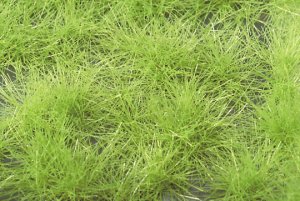 画像1: ミニネイチャー[727-31]草の茂み‐萌える春 (1)