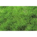 ミニネイチャー[727-32m]マイクロパック　草の茂み‐夏の盛りに