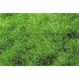 ミニネイチャー[727-32m]マイクロパック　草の茂み‐夏の盛りに