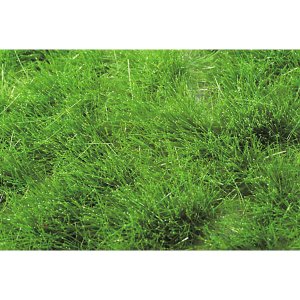 画像1: ミニネイチャー[727-32m]マイクロパック　草の茂み‐夏の盛りに (1)