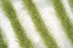 画像1: ミニネイチャー[728-23]道沿いの草むら 秋の訪れ