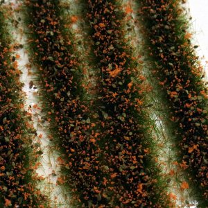 画像1: ミニネイチャー[731-25m]マイクロパック　花壇－オレンジ (1)