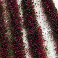 ミニネイチャー[731-26m]マイクロパック　花壇－赤紫
