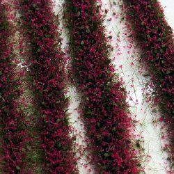 画像1: ミニネイチャー[731-26m]マイクロパック　花壇－赤紫