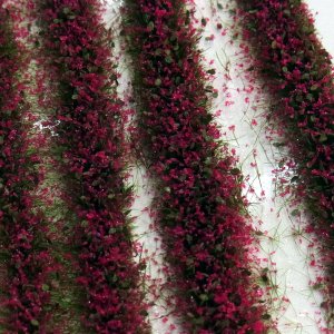 画像1: ミニネイチャー[731-26m]マイクロパック　花壇－赤紫 (1)