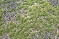 ミニネイチャー[735-22]炭山の大地-夏
