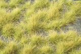 ミニネイチャー[737-21]光る草むら‐春うらら