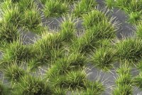 ミニネイチャー[737-22]光る草むら‐夏の盛りに