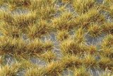 ミニネイチャー[737-23]光る草むら‐秋深し