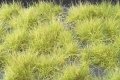 ミニネイチャー[737-31m]マイクロパック　光る草の茂み‐春うらら