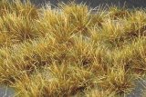 ミニネイチャー[737-33]光る草の茂み‐秋深し