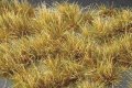 ミニネイチャー[737-33m]マイクロパック　光る草の茂み‐秋深し