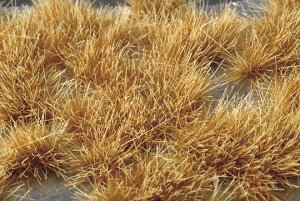 画像1: ミニネイチャー[737-34]光る草の茂み‐凍る大地に (1)