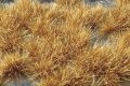 ミニネイチャー[737-34m]マイクロパック　光る草の茂み‐凍る大地に