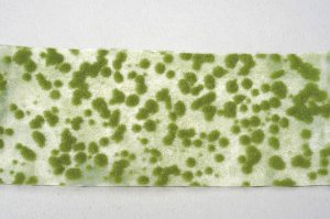 画像1: ミニネイチャー[747-22]苔のじゅうたん‐黄緑 (1)