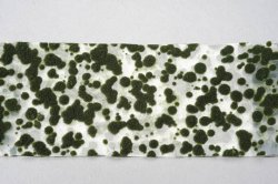 画像1: ミニネイチャー[747-23]苔のじゅうたん‐濃い緑