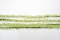 ミニネイチャー[765-21]田植えが済んで(大)