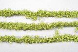 ミニネイチャー[766-21]野菜の畑　黄緑