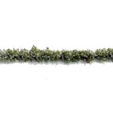 ミニネイチャー[767-21m]マイクロパック　道端の花－白