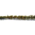 ミニネイチャー[767-22m]マイクロパック　道端の花－黄