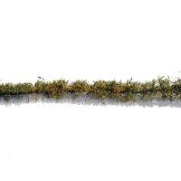 ミニネイチャー[767-22m]マイクロパック　道端の花－黄