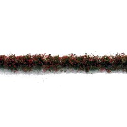 画像1: ミニネイチャー[767-23m]マイクロパック　道端の花－赤