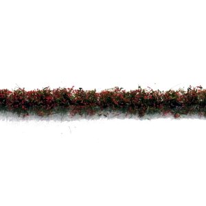 画像1: ミニネイチャー[767-23m]マイクロパック　道端の花－赤 (1)
