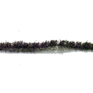 画像1: ミニネイチャー[767-24m]マイクロパック　道端の花－バイオレット (1)