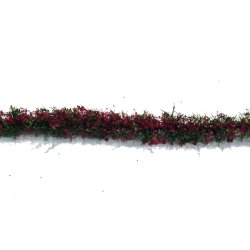 画像1: ミニネイチャー[767-26m]マイクロパック　道端の花－赤紫