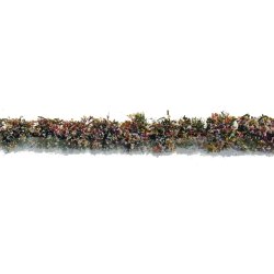 画像1: ミニネイチャー[767-29m]マイクロパック　道端の花－咲き乱れ